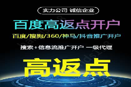 百度推广效果案例解析